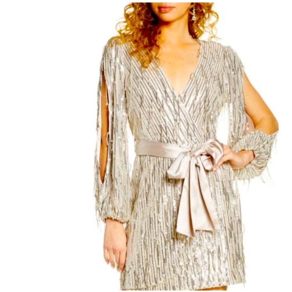 NwT Harlyn Silver Sequin Fringe Dress (without belt)